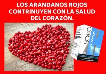 HOMO PLUS Y LA SALUD DEL CORAZÓN