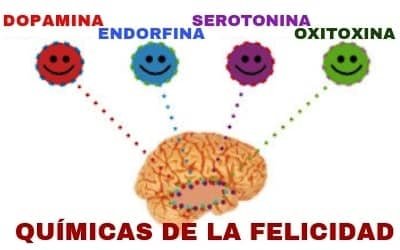Hormonas Alegres generadas por el cerebro de forma natural.
