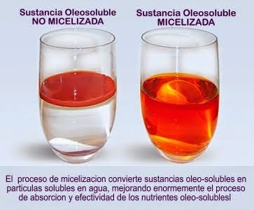 Micelización para la optima absorción de nutrientes