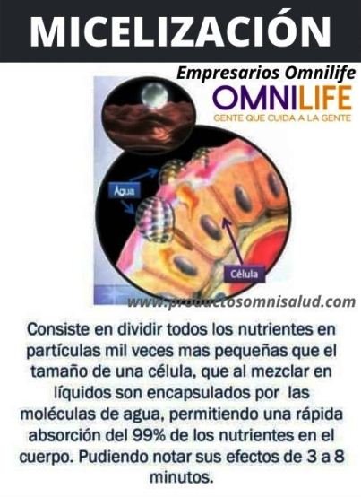 La micelización permite la utilización de mega dosis de nutrientes.