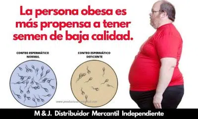 INFERTILIDAD. ¿PODRÁ AYUDARTE LA BUENA NUTRICIÓN?