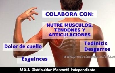 Power maker, nutre tus músculos