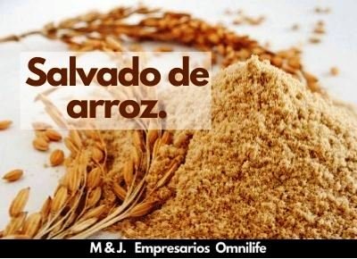 salvado de arroz procesado