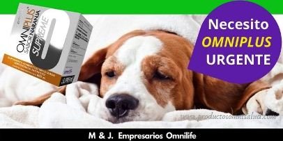 omniplus para mascotas