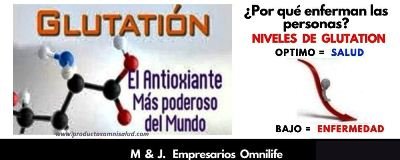 ONE PER MEAL Y EL GLUTATION.