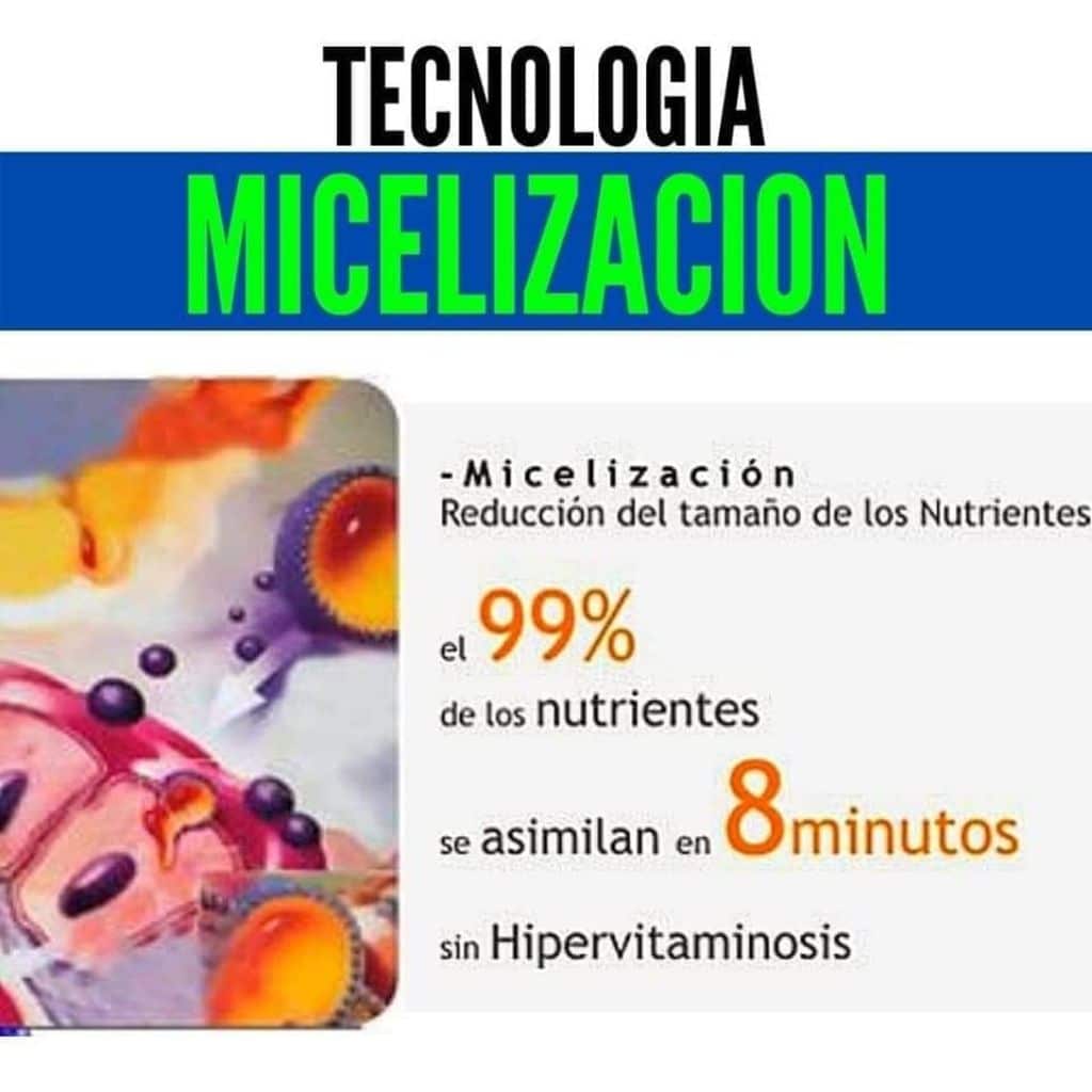 micelización