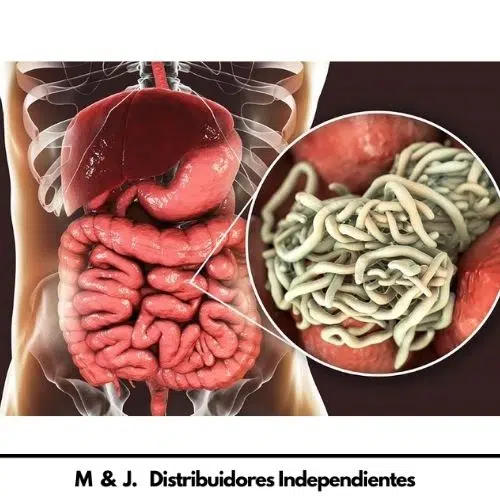 Beneficios de los productos Omnilife