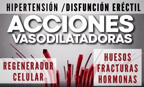 Power Maker omnilife, acción vasodilatadora POR LA ARGININA. ARGININA: ¿Que es? 15 Beneficios sorprendentes.