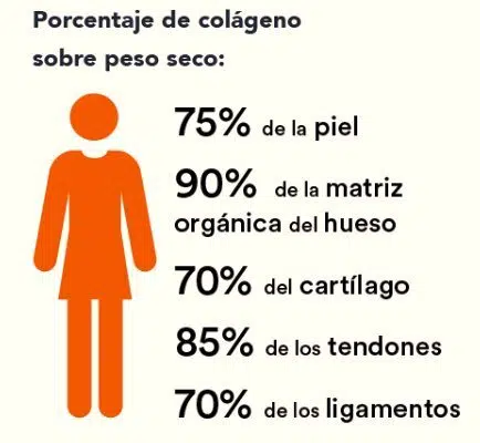 El COLÁGENO, ▷ ¿Lo tienen los Productos Omnilife? 