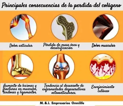 El COLÁGENO, ▷ ¿Lo tienen los Productos Omnilife? 