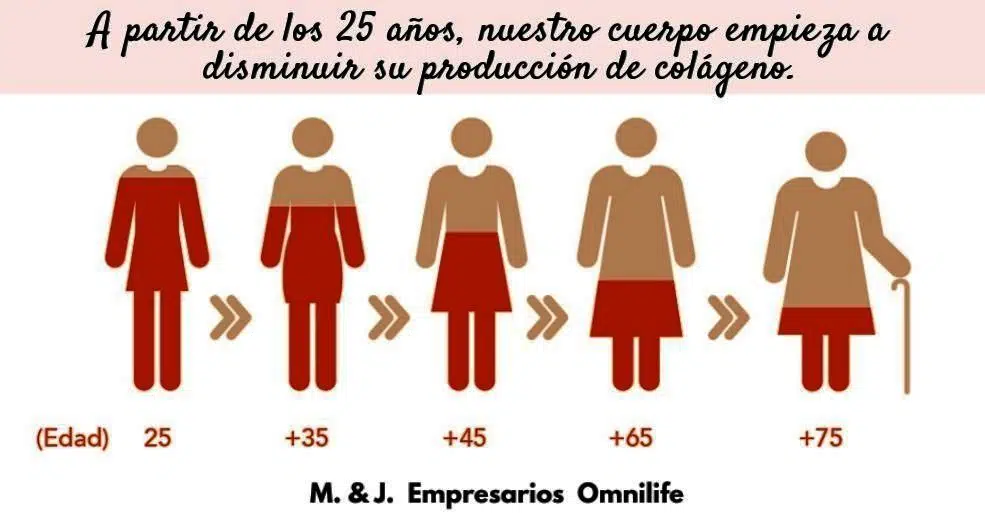 El COLÁGENO, ▷ ¿Lo tienen los Productos Omnilife? 