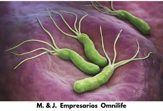 KOLINA OMNILIFE ¿Para que sirve? 10 maravillosos beneficios.