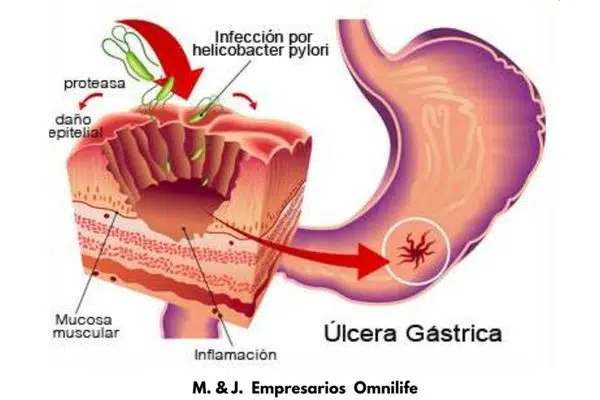 KOLINA OMNILIFE ¿Para que sirve? 10 maravillosos beneficios.