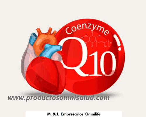 COENZIMA Q10: ¿Qué es? 